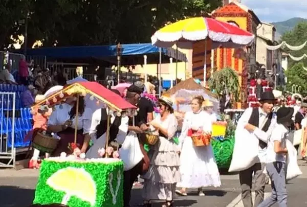 Fragrant Festivities: Unveiling the Lavender Corso in Digne-les-Bains, a Grand Celebration Kicking Off This Friday