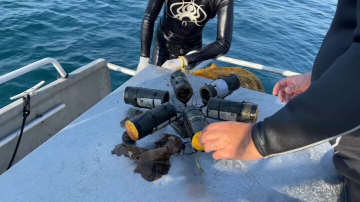 La grande vague de propreté en mer après le Festival d’art pyrotechnique