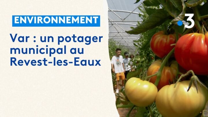 Le Revest-les-Eaux inaugure son potager municipal dans le Var