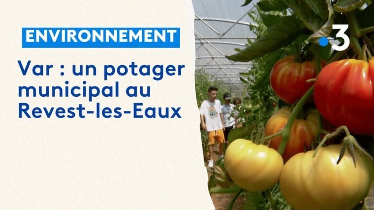 Le Revest-les-Eaux inaugure son potager municipal dans le Var