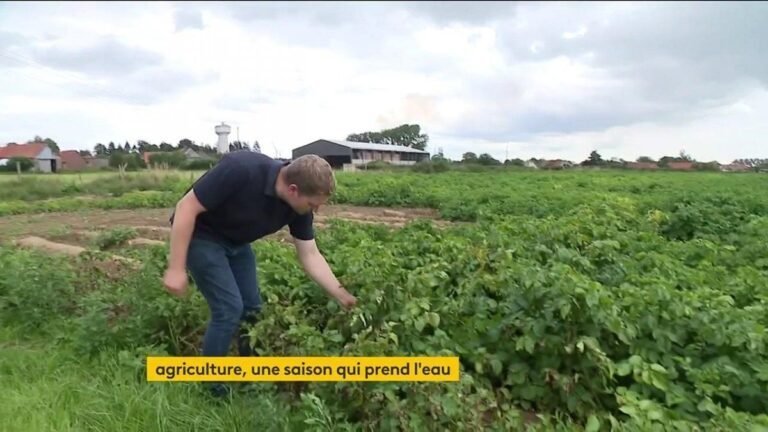 Les fortes pluies rendent le travail des agriculteurs difficile (04)
