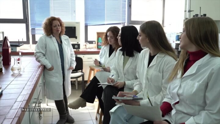 Méditerranéo – La Grèce, l’essor des femmes dans le monde viticole