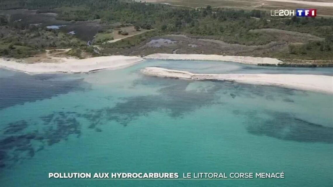 Menton : une pollution aux hydrocarbures menace le littoral ? Menton : une pollution aux hydrocarbures menace le littoral ?