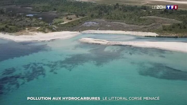 Menton : une pollution aux hydrocarbures menace le littoral ?
