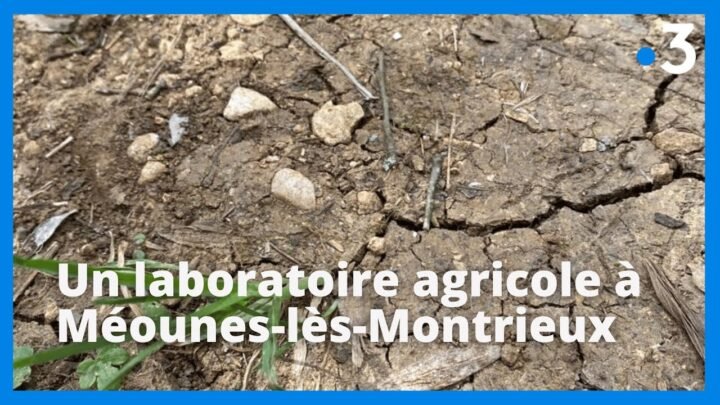 Var : une expérience agricole révolutionnaire