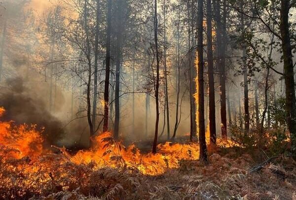 Week-end brûlant : la menace des incendies de forêt persiste dans le sud de la France