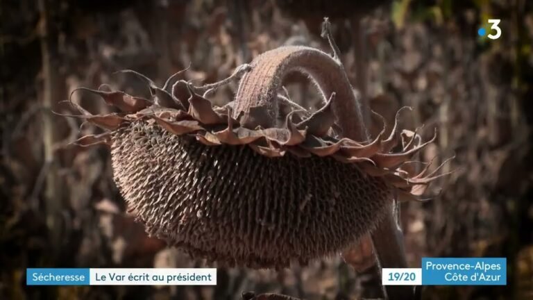 Appel du président du département du Var au chef de l&rsquo;Etat face à la sécheresse.
