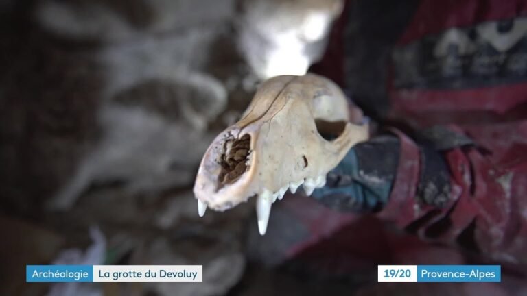 Découverte de grande importance : des ossements préhistoriques trouvés dans le Dévoluy des Hautes-Alpes