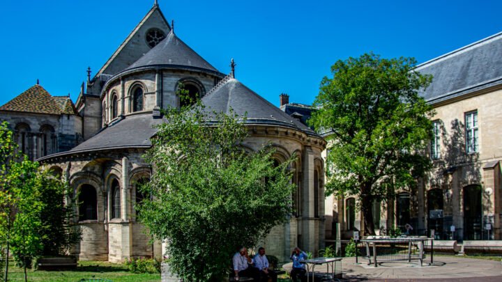 Embarquez pour un tour enchanté au Musée des Merveilles : plongez au cœur des animations captivantes !