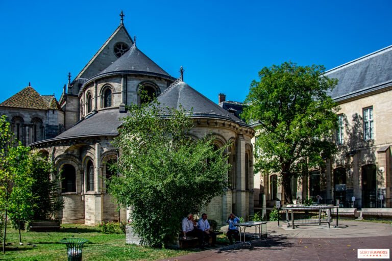 Embarquez pour un tour enchanté au Musée des Merveilles : plongez au cœur des animations captivantes !