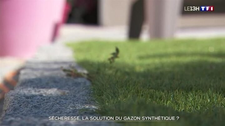 L’essor de la pelouse synthétique en temps de sécheresse