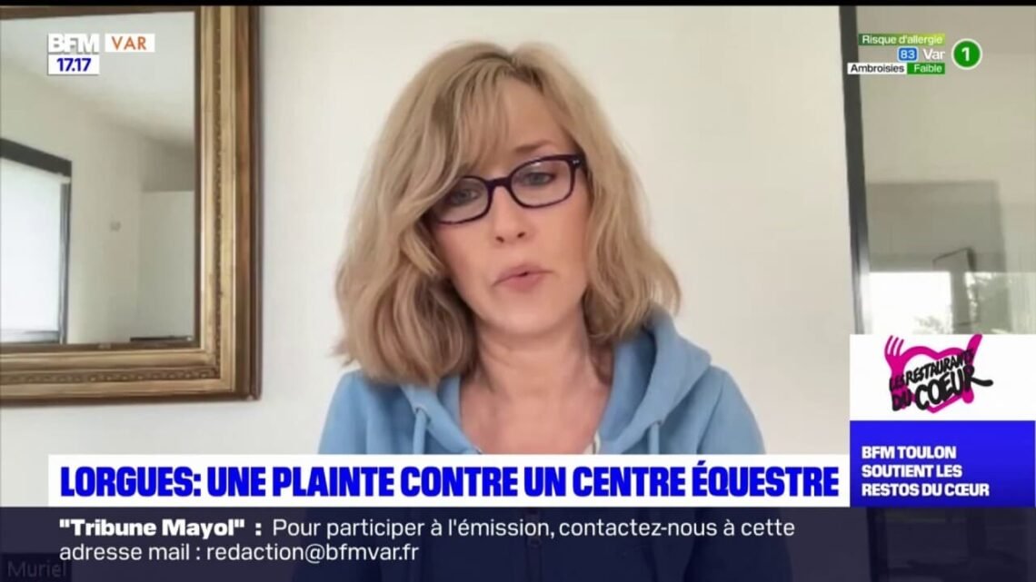 Poney maltraité dans le Var : la directrice du centre équestre révèle la vérité et demande justice Poney maltraité dans le Var : la directrice du centre équestre révèle la vérité et demande justice