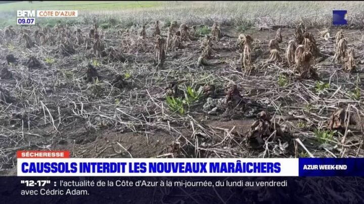 Restrictions du maire de Caussols concernant l’établissement de nouveaux maraîchers