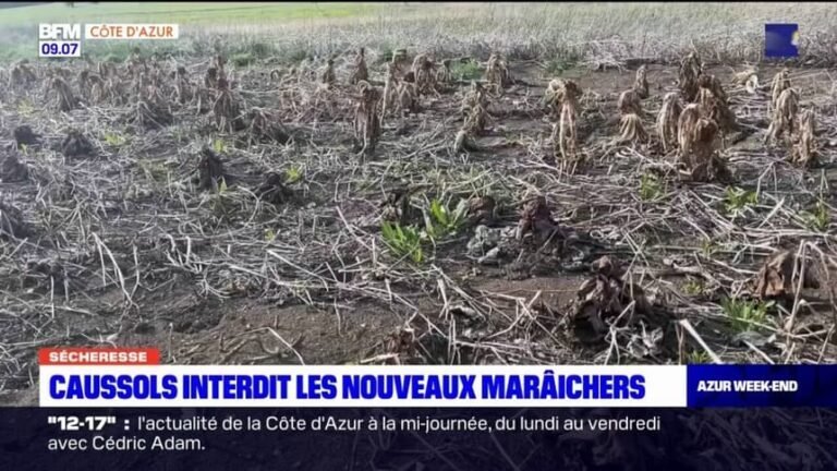 Restrictions du maire de Caussols concernant l&rsquo;établissement de nouveaux maraîchers