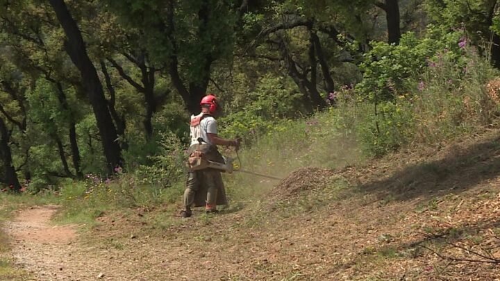 Sauver des vies : l’importance de débroussailler face au risque incendie