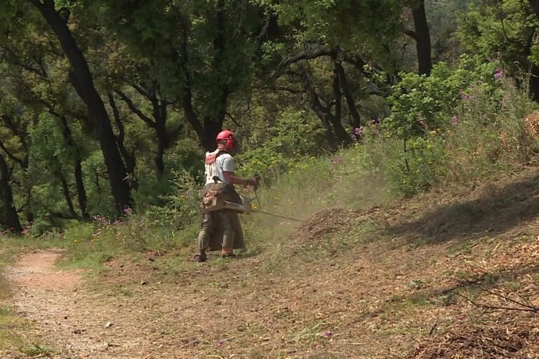 Sauver des vies : l&rsquo;importance de débroussailler face au risque incendie