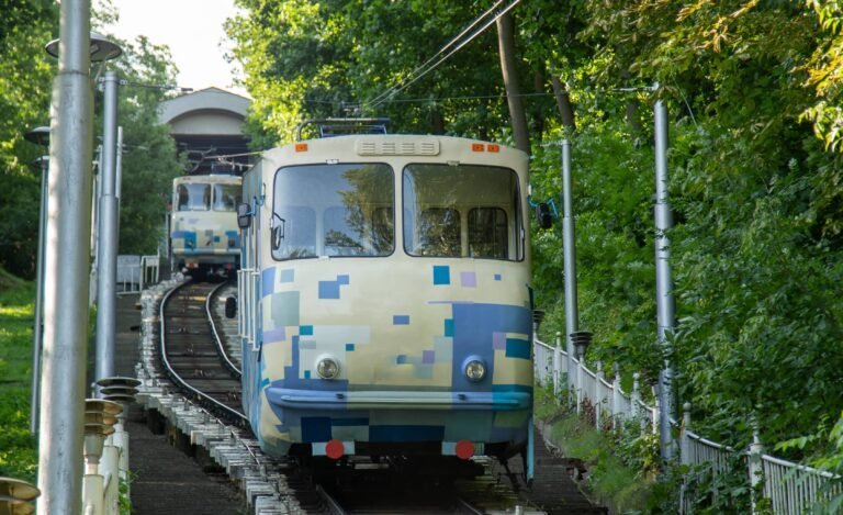 Un incident choquant près d&rsquo;une station de tramway : un homme victime d&rsquo;une agression au genou
