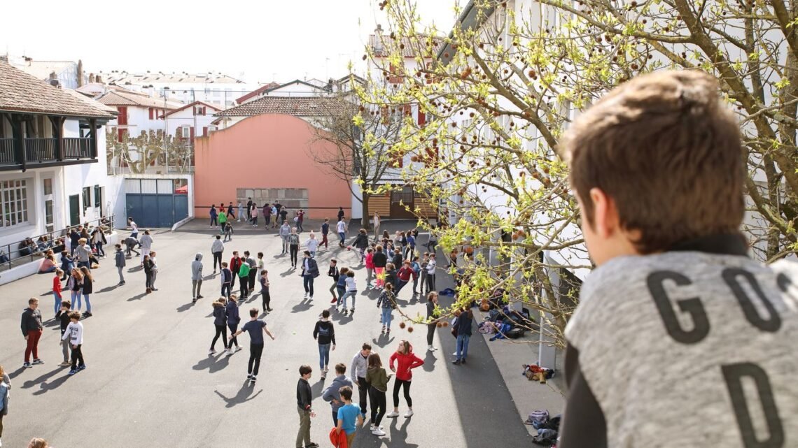 Vers une Rentrée en pleine Nature : cultiver le bien-être des collégiens avec des espaces de récréation verts Vers une Rentrée en pleine Nature : cultiver le bien-être des collégiens avec des espaces de récréation verts