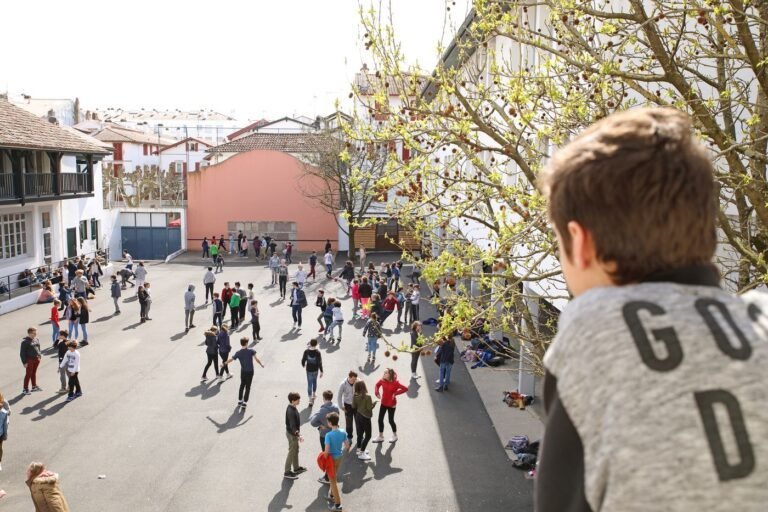 Vers une Rentrée en pleine Nature : cultiver le bien-être des collégiens avec des espaces de récréation verts