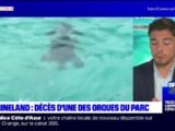 Moana morte à Marineland