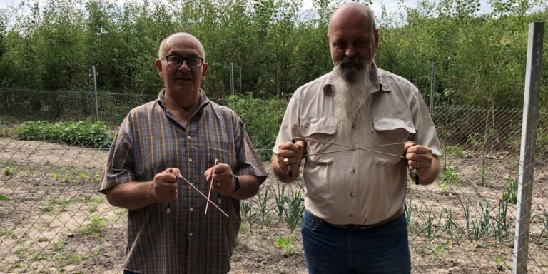 En période de sécheresse, les particuliers se tournent vers les sourciers pour trouver de l&rsquo;eau et envisagent le forage