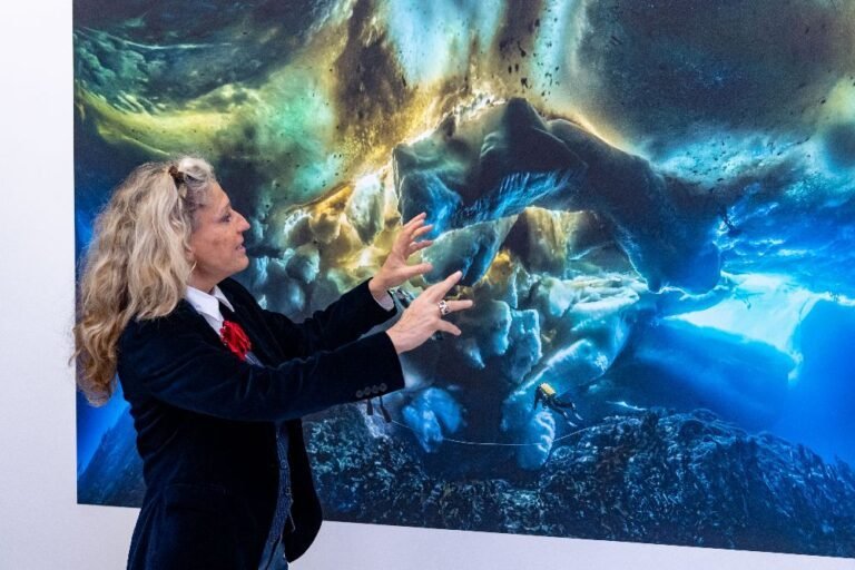 La Villa Tamaris, à la Seyne-sur-Mer, célèbre le travail de Laurent Ballesta, reporter marin, avec une rétrospective exceptionnelle