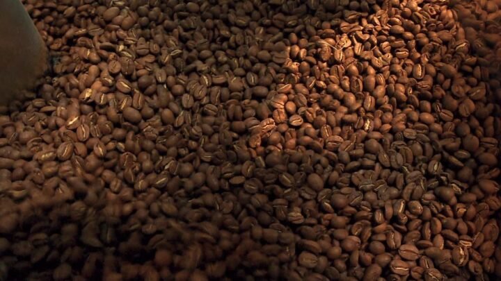PrioriTerre: Choisir du café de spécialité pour un avenir durable dans les zones tropicales