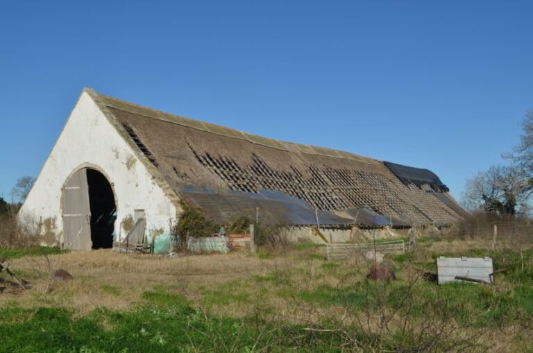Restauration de la bergerie de la Favouillane à Port Saint-Louis-du-Rhône