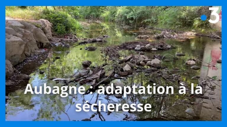 Sécheresse : Face à un niveau historiquement bas de l&rsquo;Huveaune, les habitants d&rsquo;Aubagne s&rsquo;efforcent de s&rsquo;adapter.