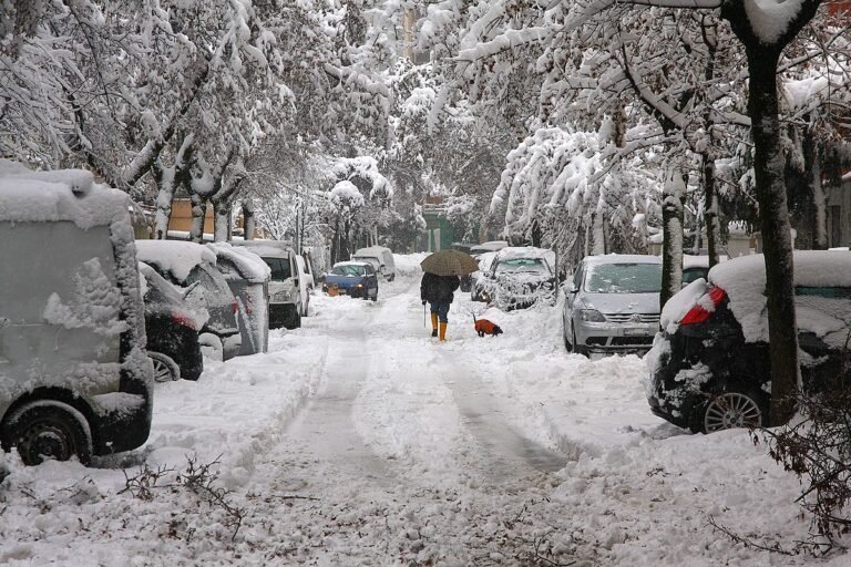 tempête de neige