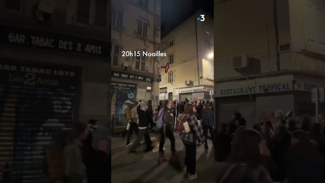 49.3 REACTIONS: #MARSEILLE – Exploring the Response to 49.3 in Marseille 49.3 REACTIONS: #MARSEILLE – Exploring the Response to 49.3 in Marseille