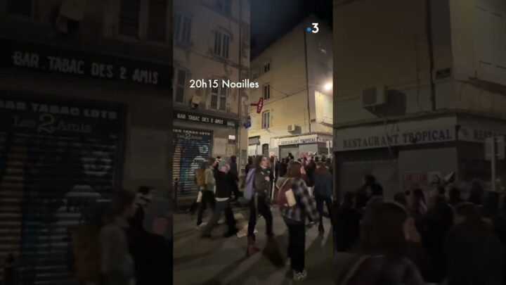 49.3 REACTIONS: #MARSEILLE – Exploring the Response to 49.3 in Marseille