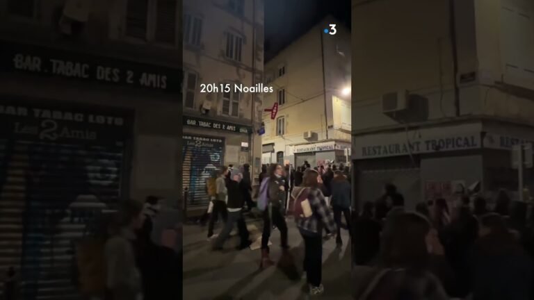 49.3 REACTIONS: #MARSEILLE – Exploring the Response to 49.3 in Marseille