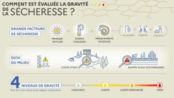 Conséquences des restrictions d’eau : le marché des piscines frappé par la sécheresse
