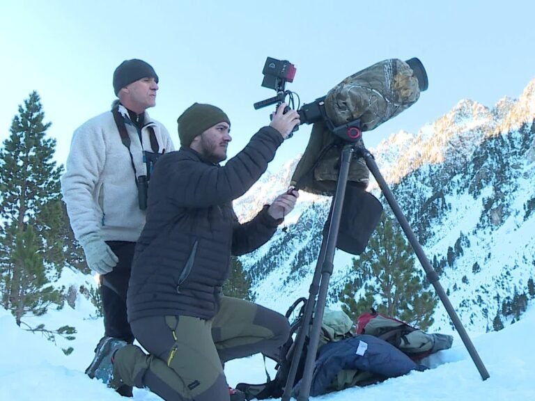 Le photographe animalier : une passion qui nous anime