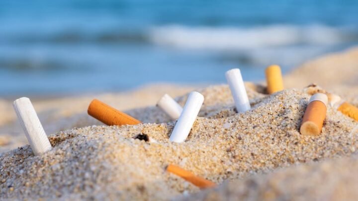 Nice s’engage à rendre ses plages totalement sans tabac d’ici à 2024