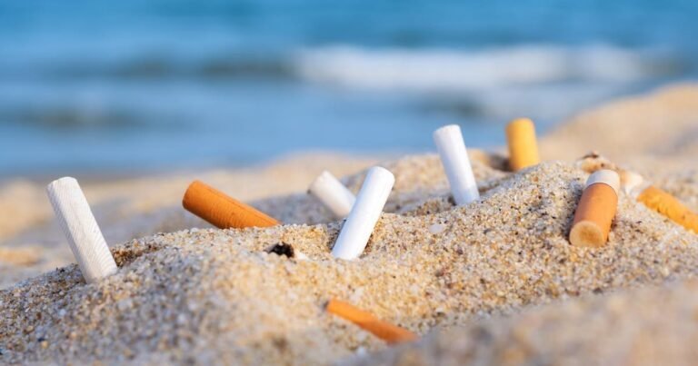 Nice s&rsquo;engage à rendre ses plages totalement sans tabac d&rsquo;ici à 2024