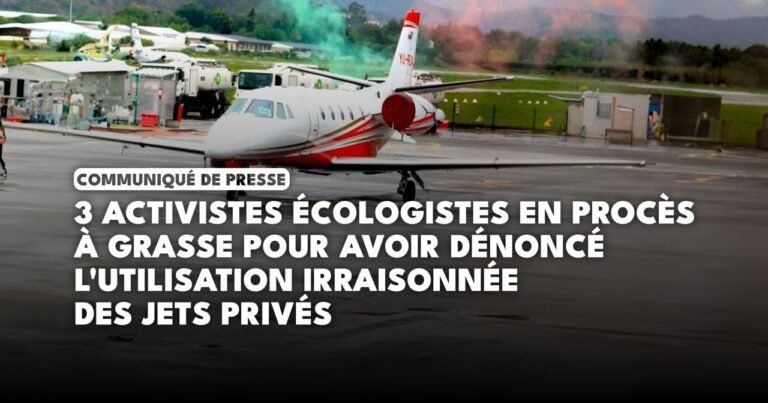 Poursuite judiciaire contre les activistes écologistes perturbant les déplacements des avions