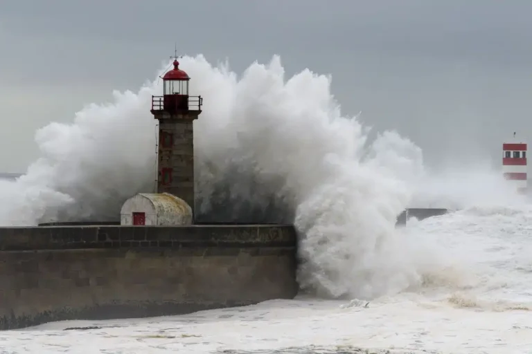 Un calme inattendu : la Tempête Ciaran s&rsquo;éloigne sans vents majeurs dans les départements