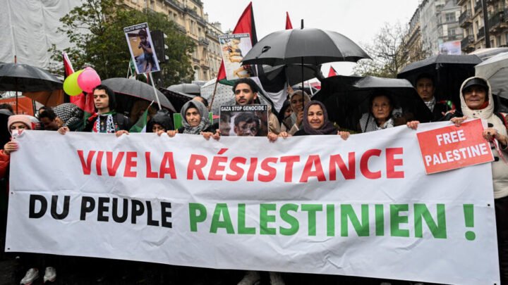 Unis pour la Palestine : nouvelle manifestation à Nice