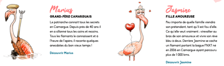 : Vivez votre rêve d’adoption de flamant rose en Camargue