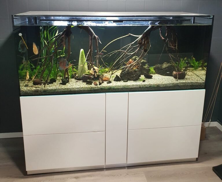 aquadecor cagnes sur mer aquarium