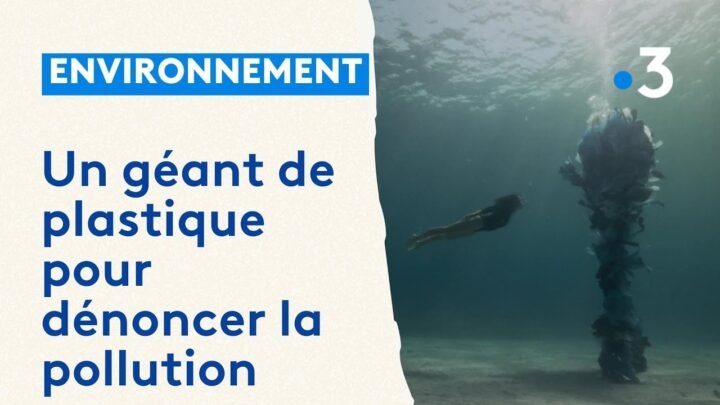 Diffusion du dernier court-métrage de Julie Gautier sur la pollution plastique dans une école