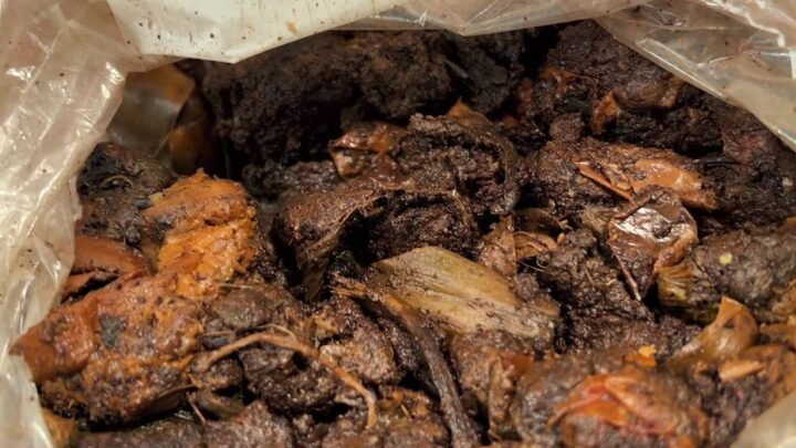 Le compostage des déchets de cuisine avec le Geste PrioriTerre: le bokashi, une solution efficace