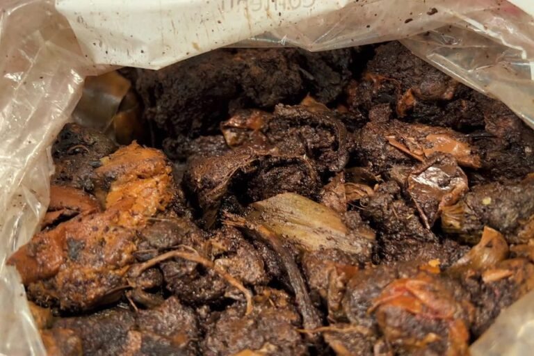 Le compostage des déchets de cuisine avec le Geste PrioriTerre: le bokashi, une solution efficace