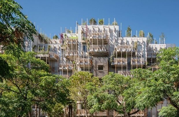 Nice: le procès reporté suite à la découverte d’une véritable petite jungle dans un appartement