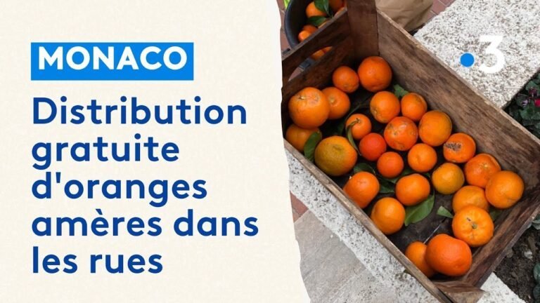 Distribution gratuite d&rsquo;oranges fraîches à Monaco: une récolte généreuse