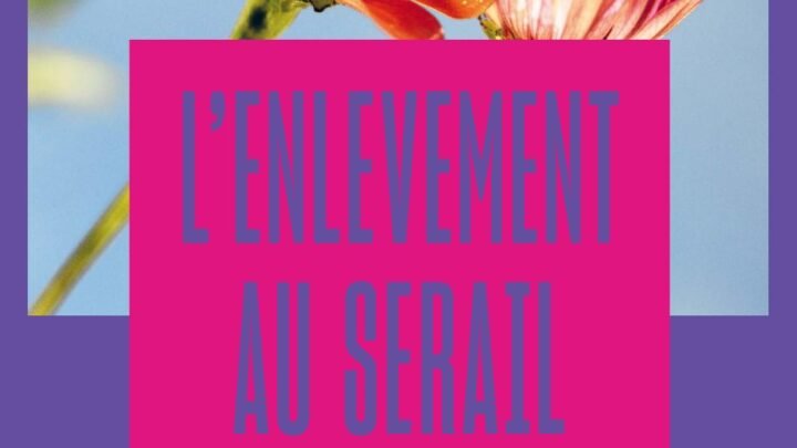 Explorez les événements prévus pour le mois de janvier à l’Institut Mozart