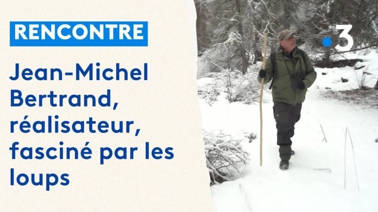 Interview avec Jean-Michel Bertrand, le cinéaste derrière « Vivre avec les loups »