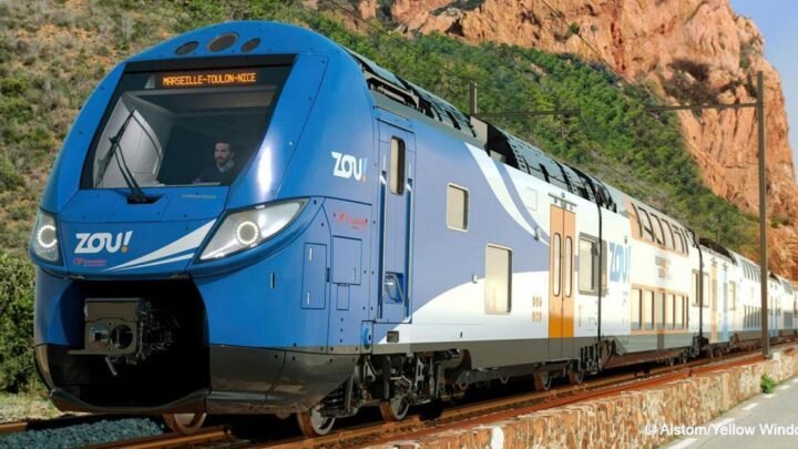 Marseille en train de travailler.